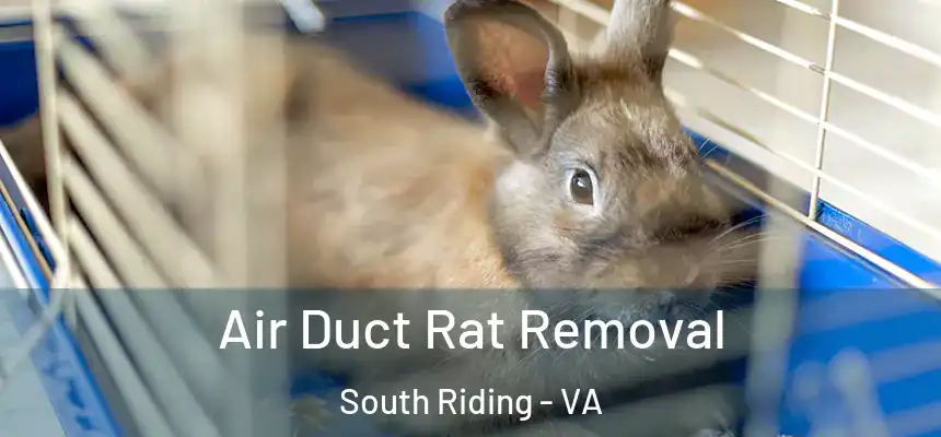  Air Duct Rat Removal South Riding - VA