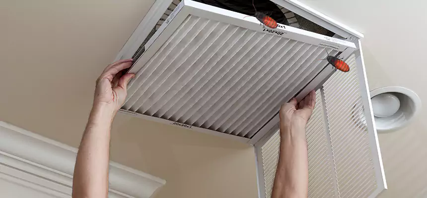 Preventive Cockroach-Proofing for Ducts in South Riding