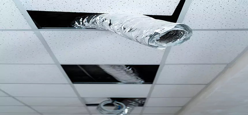 Affordable HVAC Sanitizing After Pest Removal in South Riding