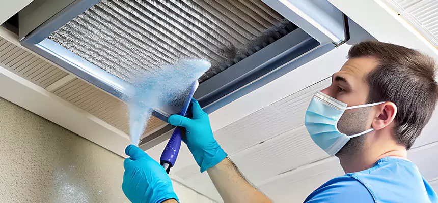Proactive Dryer Vent & Auxiliary Duct Pollen Cleanup in South Riding, VA