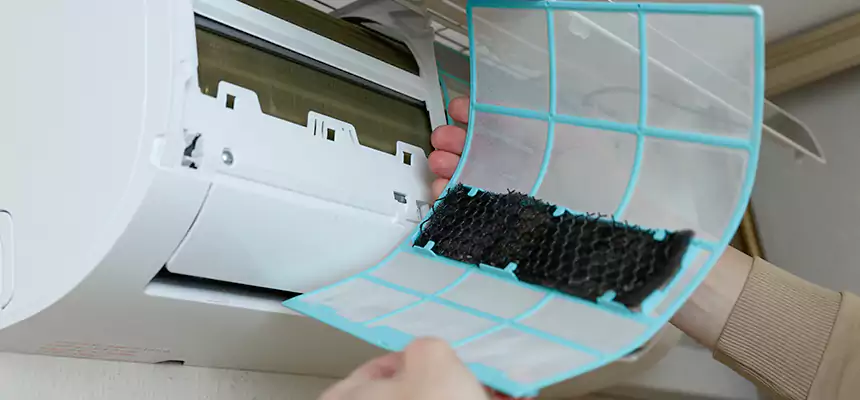 Gentle Ductwork Odor-Control Pet Dander Duct Cleaning in South Riding, VA