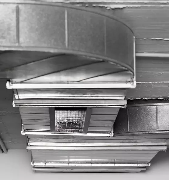 Professional Air Duct Pet Hair Removal in South Riding, VA