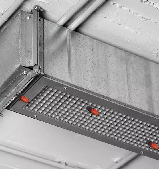 Affordable Insect Removal from Air Ducts in South Riding, VA