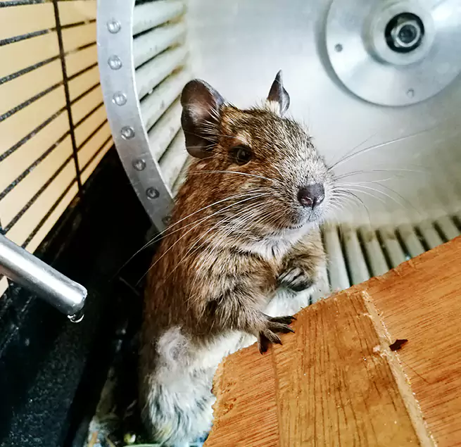 Why Homeowners & Businesses Trust Us South Riding, VA?