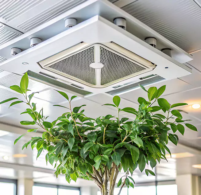 Why Homeowners & Businesses Trust Us in South Riding, VA