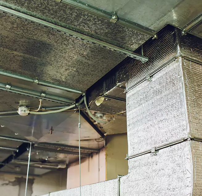 Why Homeowners & Businesses Trust Us in South Riding, VA?